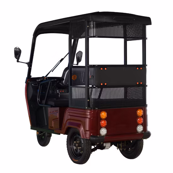 Tricycle électrique à 2 passagers et chargeur E, avec toit auvent, pour famille, adultes et enfants, nouveauté 2022