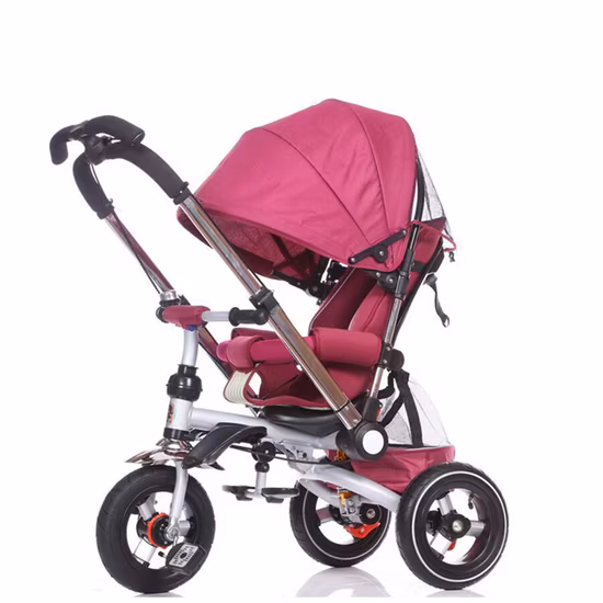 Meilleur premier tricycle pour enfants Meilleur tricycle pour 4 ans Meilleurs tricycles pour tout-petits Meilleur tricycle pour 4 ans Meilleur tricycle pour enfants Meilleur tricycle pour un enfant de 2 3 5 ans